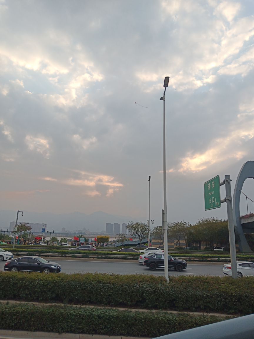 🎶琴儿🎶涅槃重生的图片