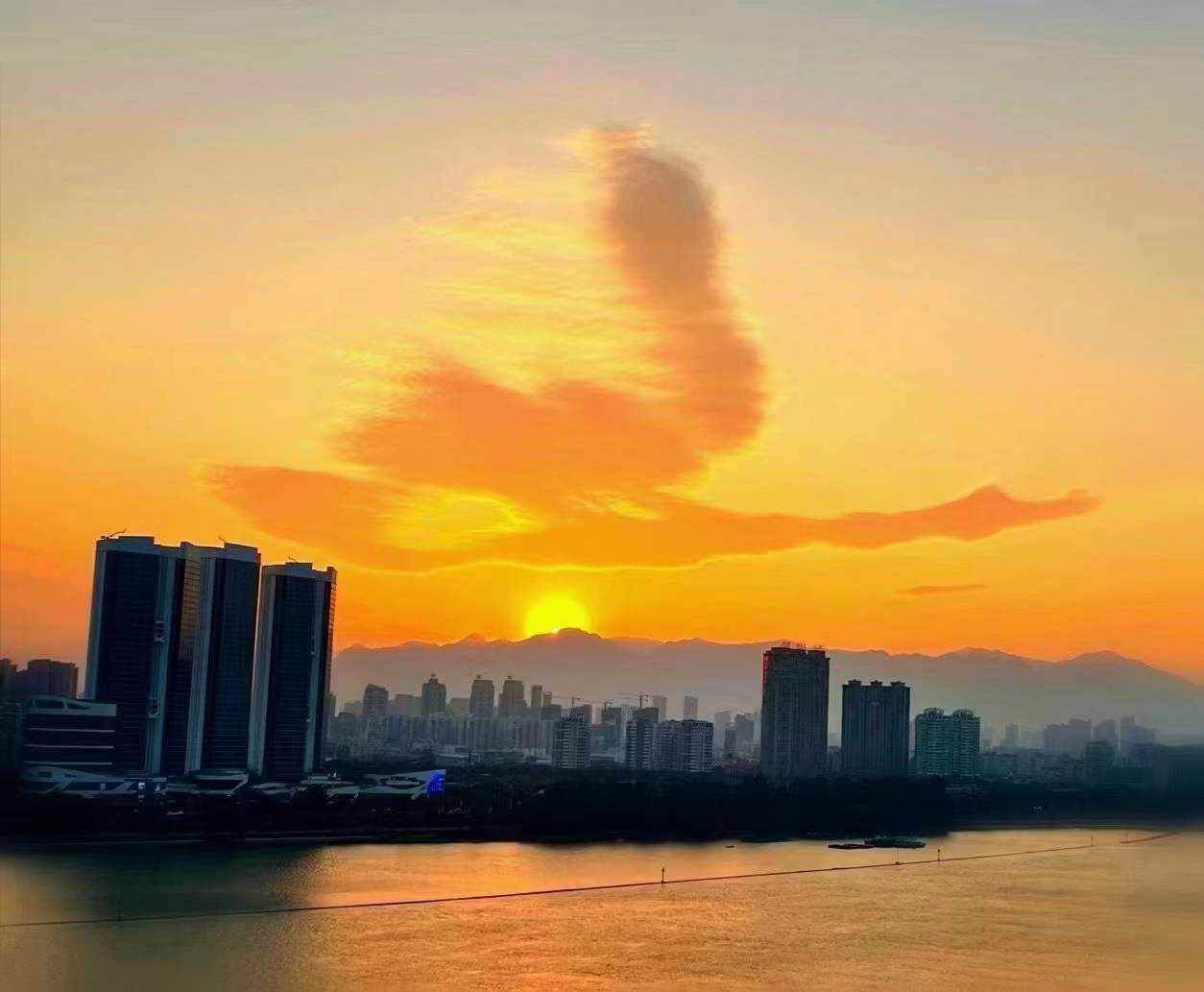 🎶琴儿🎶涅槃重生的图片