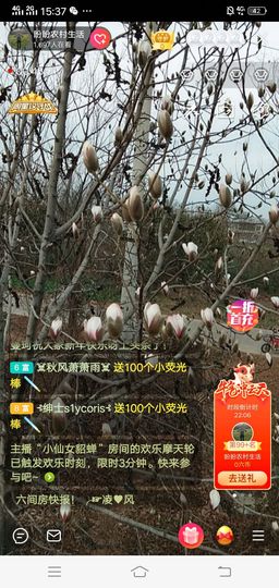 盼盼农村生活主播照片