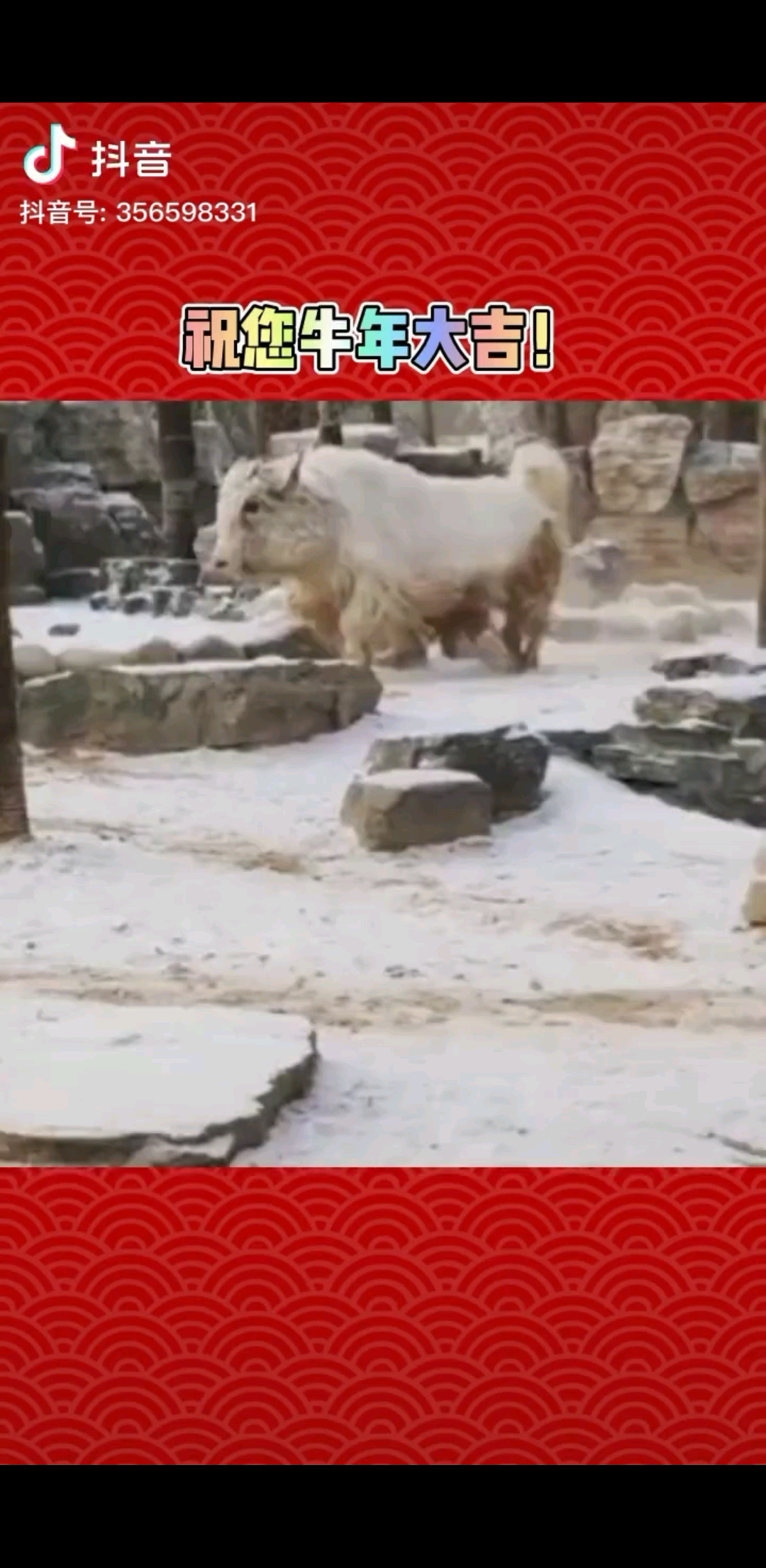 牛年快乐！