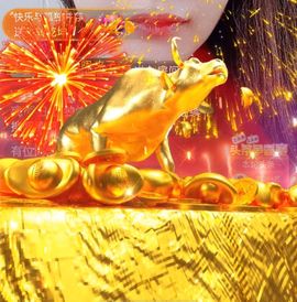冰贺粉丝哥中华哥晋升的图片