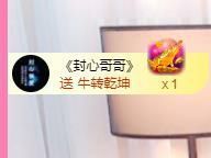 喵崽小花猫主播照片