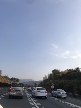 🌻ℱ七-安静唱歌主播照片