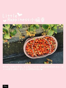 陈一🐰主播照片