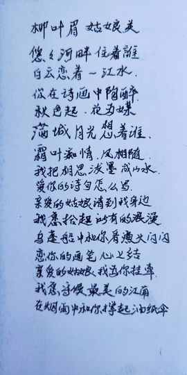 孤狼啸天⚔️的图片
