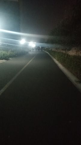 爱笑🌺好运常伴左右主播照片