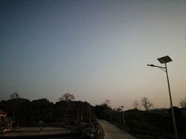 花树茶主播照片