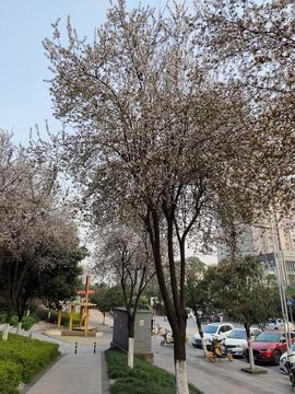 凑美没人爱主播照片