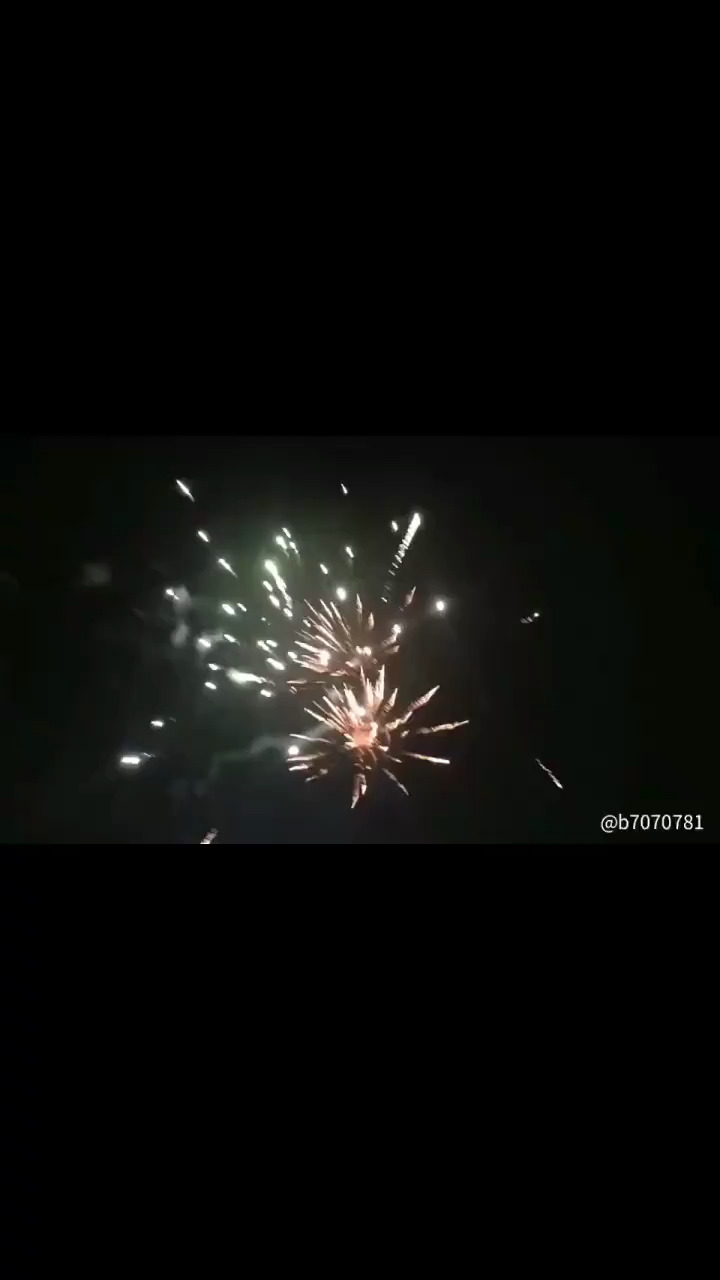 新年好礼，烟花烂漫！