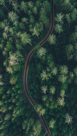 如意相亲主播照片