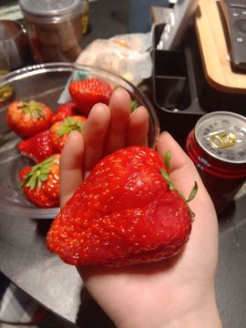 青青彼岸主播照片