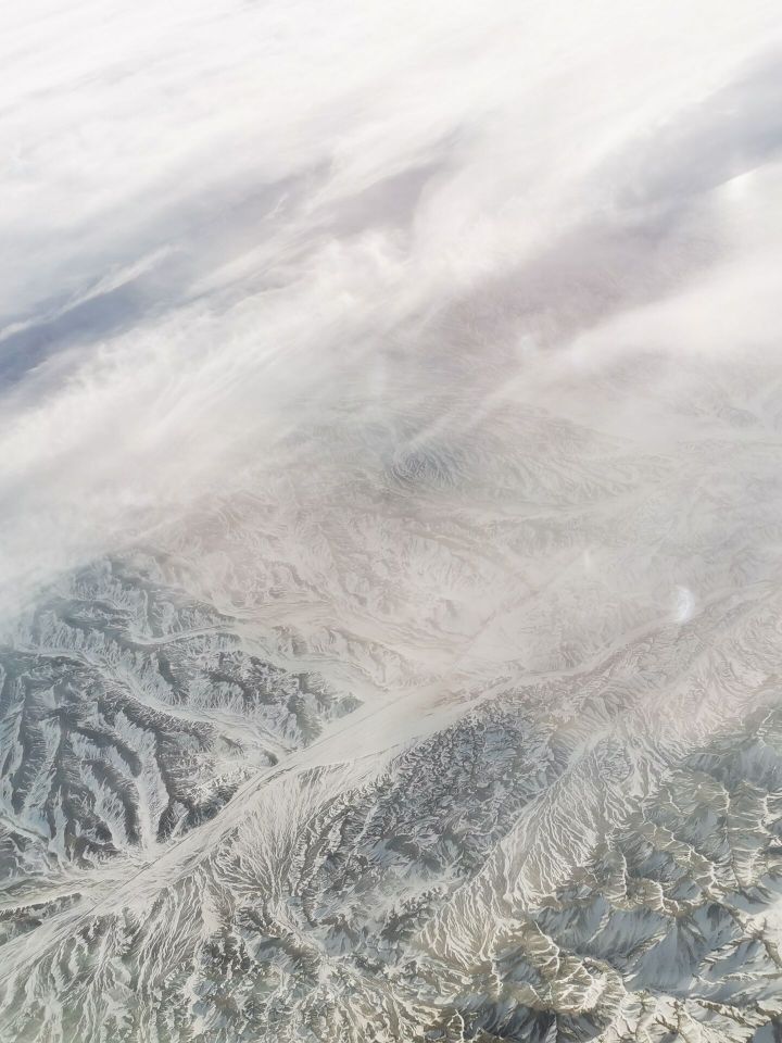 ～放飞的梦的主播照片
