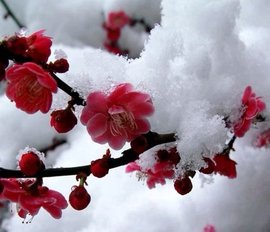 დ释怀დ主播照片