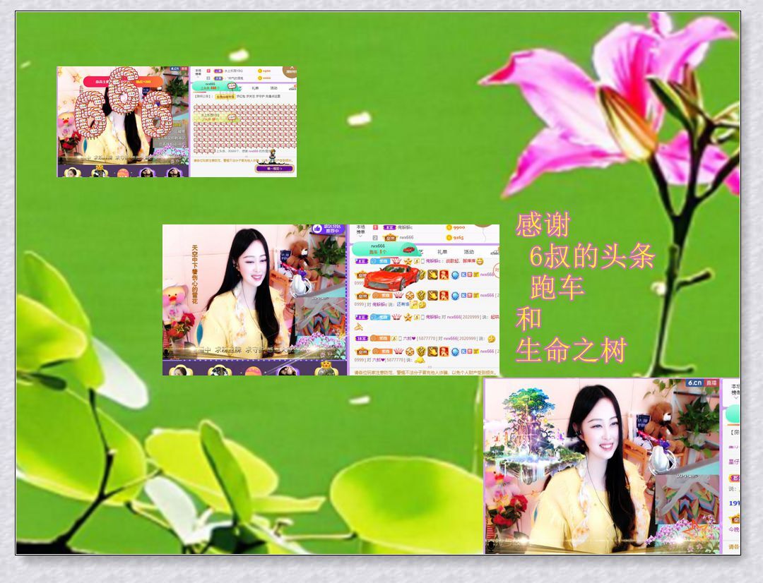紫薇☆☆音乐频道的图片