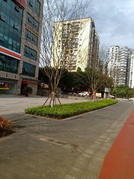 官S心语主播照片