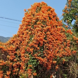 相遇是缘只等你主播照片