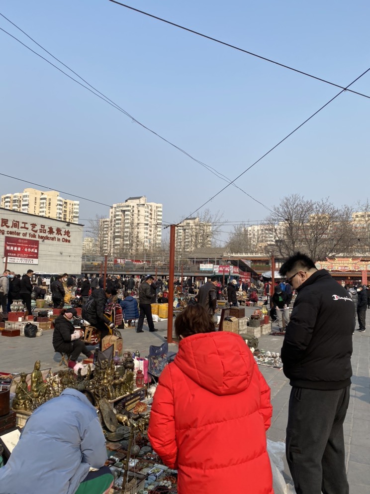 佳琦佳期的图片