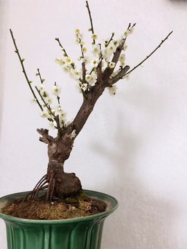 就是你想的那样啦主播照片