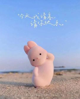 笑笑暂退主播照片