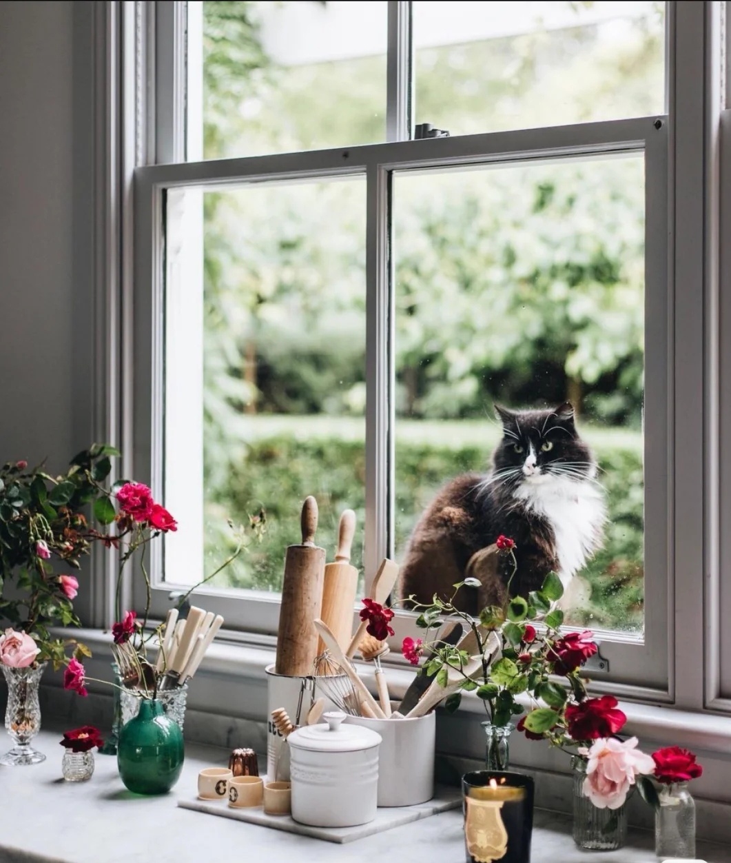 瓶盖.h的主播照片