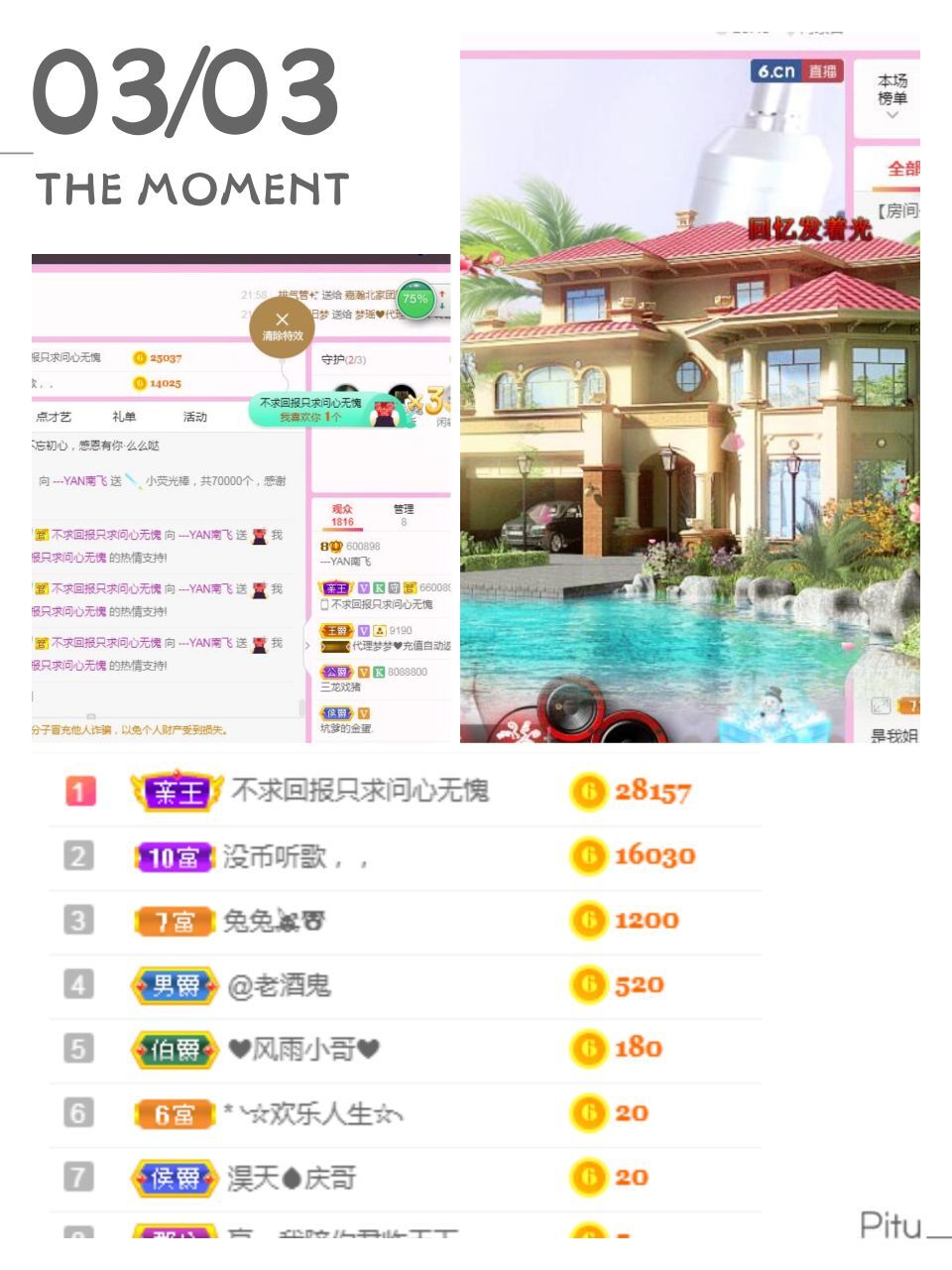 一只雁~的图片