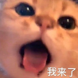 崽崽🧸停主播照片