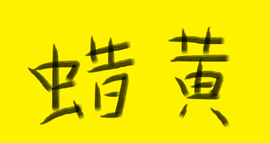 思思👑主播照片