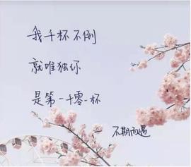 龙菲菲越来越好主播照片