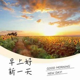 江湖再见，退主播照片