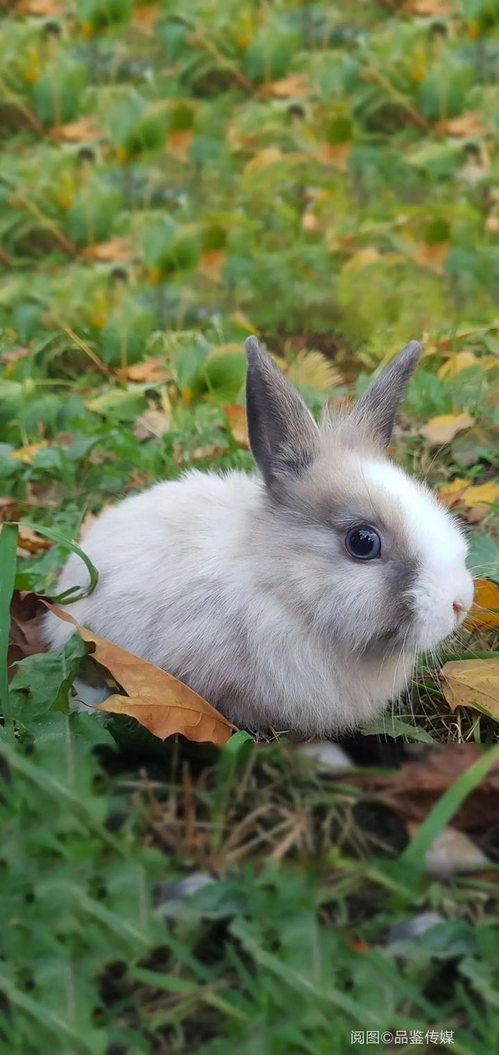 伍伍玖壹的主播照片