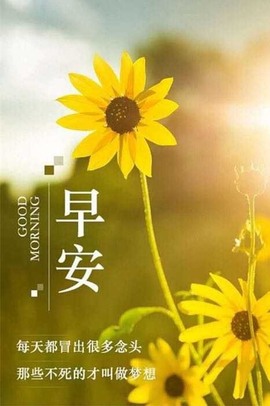 小狸吖～主播照片