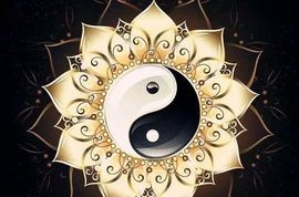 დ释怀დ主播照片
