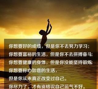 龙菲菲越来越好的图片