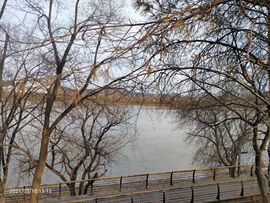 ╰╮玲珑╭╯主播照片
