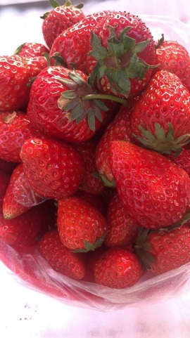 小艾回湖北不定时播主播照片
