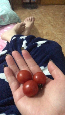 找我到781682主播照片
