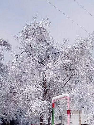 不弃芳华的主播照片