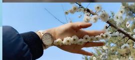一秒钟の记忆主播照片