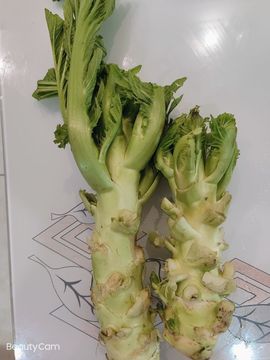 凑美没人爱主播照片