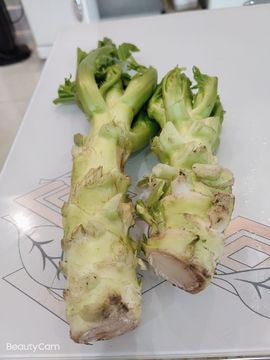凑美没人爱主播照片