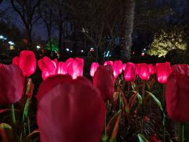 大家再见退了！主播照片