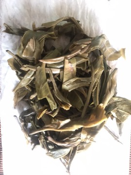 茶茶幸运星的图片