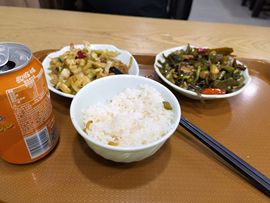 大军带你游玩上海主播照片