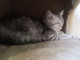 活泼的奇葩主播照片