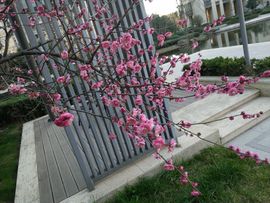 九公主99主播照片
