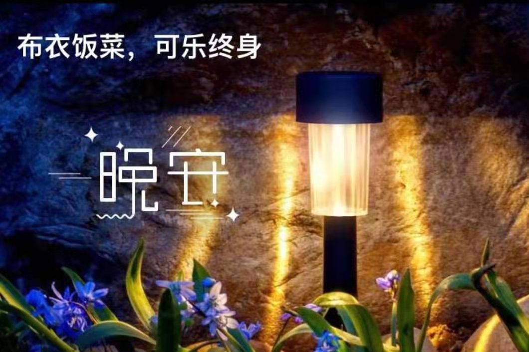 龙三暂休！的图片
