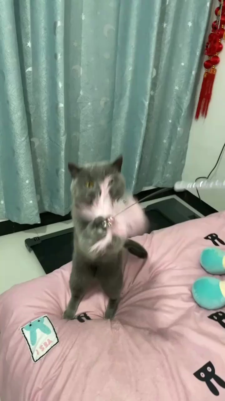 没看见你，还挺不习惯