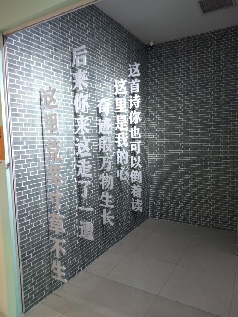 唐大小姐❥的图片