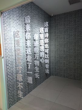 唐大小姐❥主播照片