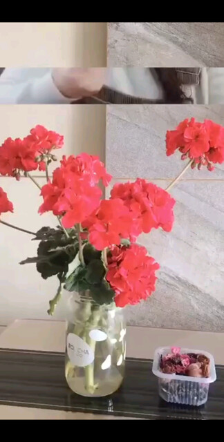 茶是故事，讲述华夏几